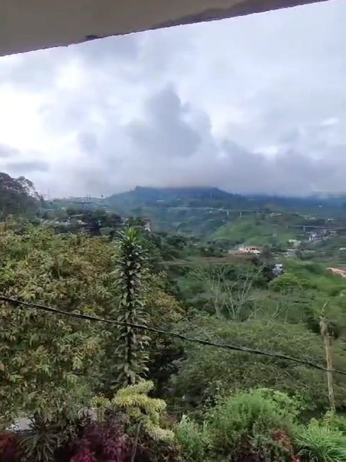 Finca en Venta en Santa rosa de cabal - Miniatura 21
