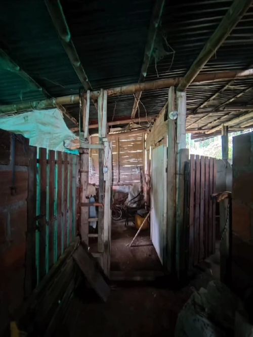 Finca en Venta en Santa rosa de cabal - Miniatura 25