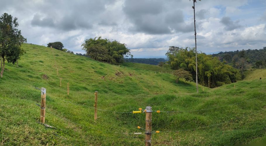 Finca en Venta en Circasia - Miniatura 4