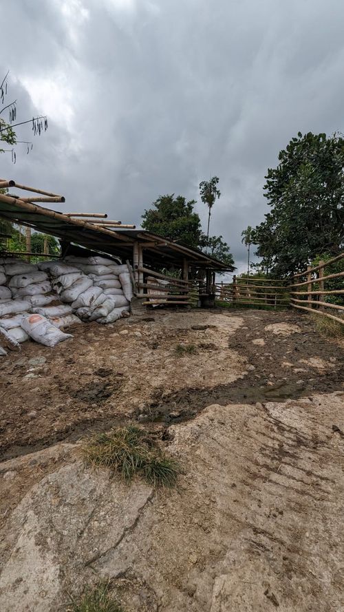 Finca en Venta en Circasia - Miniatura 11