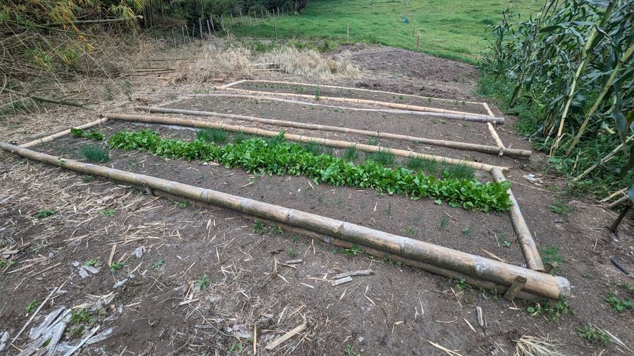 Finca en Venta en Circasia - Miniatura 14