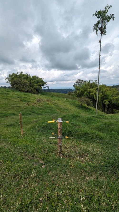 Finca en Venta en Circasia - Miniatura 17