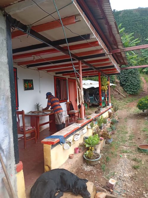 Finca en Venta en La celia - Miniatura 2