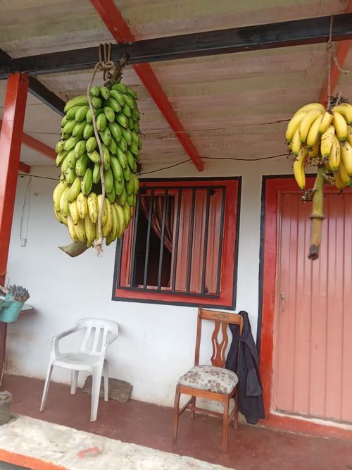 Finca en Venta en La celia - Miniatura 3