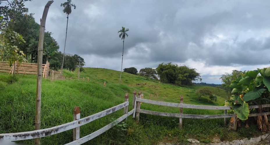 Finca en Venta en Circasia - Miniatura 19