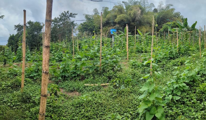 Finca en Venta en Circasia - Miniatura 20