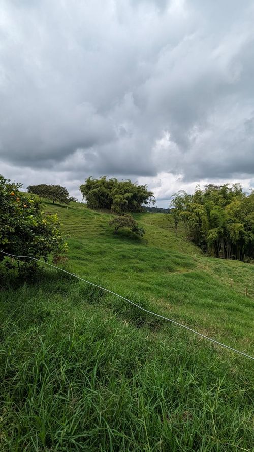 Finca en Venta en Circasia - Miniatura 26