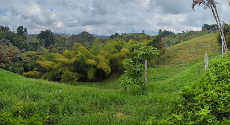 Finca en Venta en Circasia - Miniatura 29