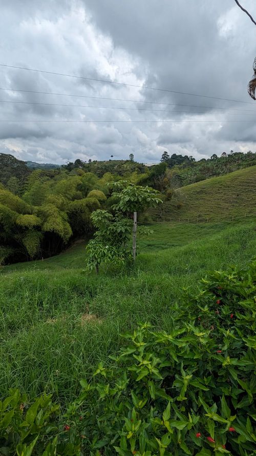 Finca en Venta en Circasia - Miniatura 30