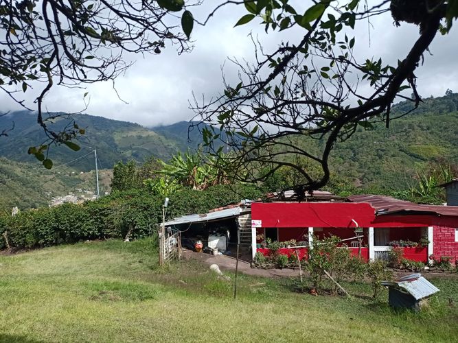 Finca en Venta en Mistrato - Miniatura 3