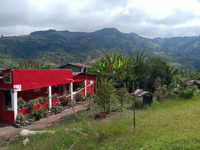 Finca en Venta en Mistrato - Miniatura 6