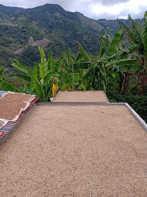 Finca en Venta en Mistrato - Miniatura 8