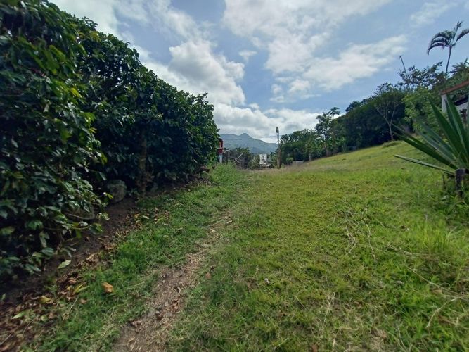 Finca en Venta en Mistrato - Miniatura 9