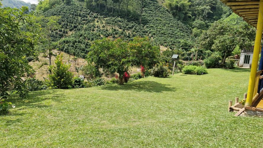 Finca en Venta en Chinchiná - Miniatura 11