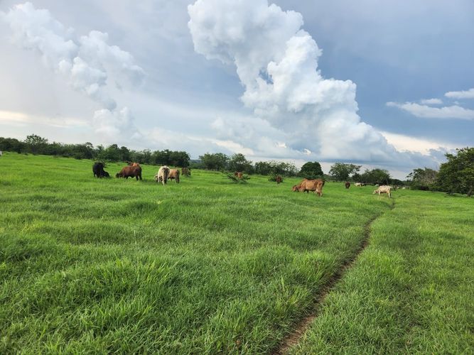 Finca en Venta en Cartagena de indias, Cartagena - Miniatura 3