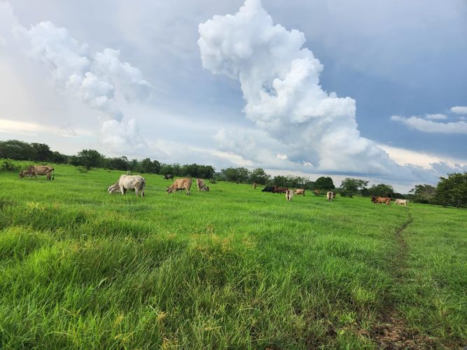 Finca en Venta en Cartagena de indias, Cartagena - Miniatura 5