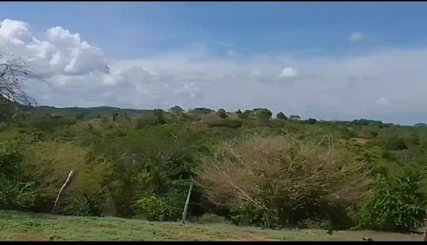 Finca en Venta en Cartagena de indias, Cartagena - Miniatura 10