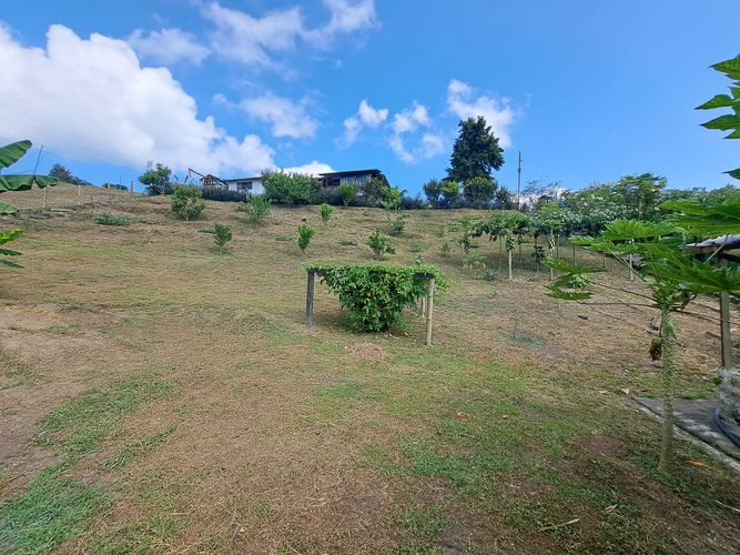 Finca en Venta en Santa rosa de cabal - Miniatura 8