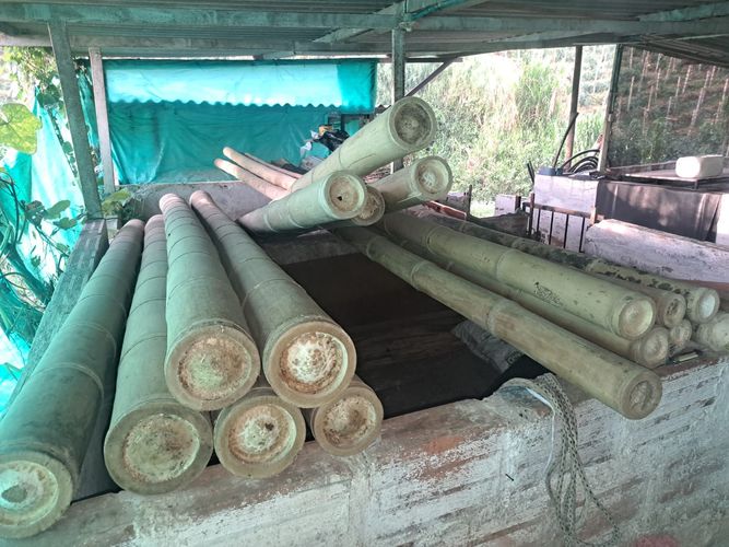 Finca en Venta en Santa rosa de cabal - Miniatura 16
