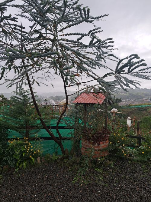 Finca en Venta en Santa rosa de cabal - Miniatura 18