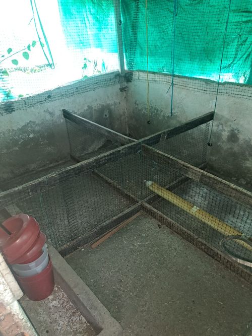 Finca en Venta en Santa rosa de cabal - Miniatura 19