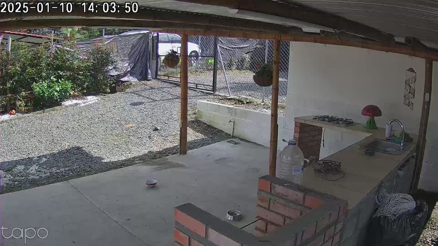 Finca en Venta en Santa rosa de cabal - Miniatura 11