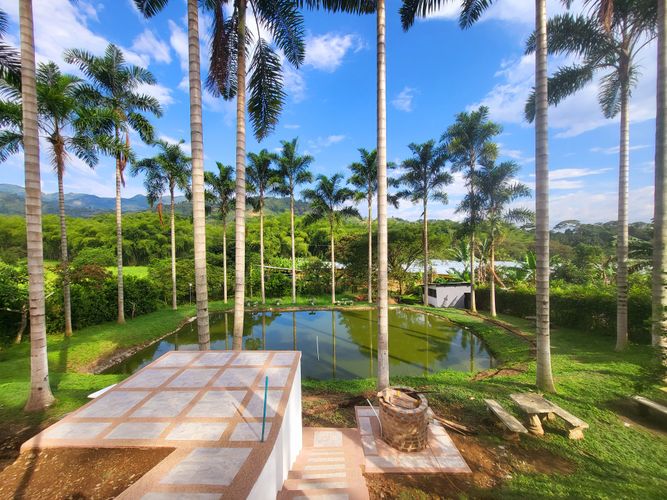 Finca en Venta en Combia, Pereira - Miniatura 7