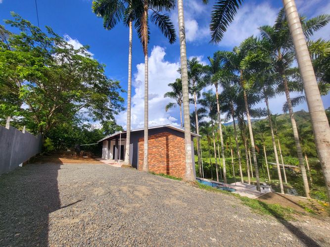 Finca en Venta en Combia, Pereira - Miniatura 8