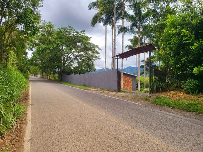 Finca en Venta en Combia, Pereira - Miniatura 9