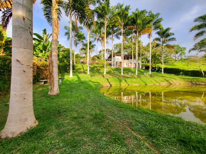 Finca en Venta en Combia, Pereira - Miniatura 26