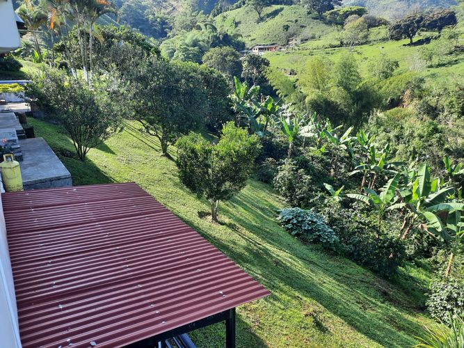 Finca en Venta en Combia, Pereira - Miniatura 12