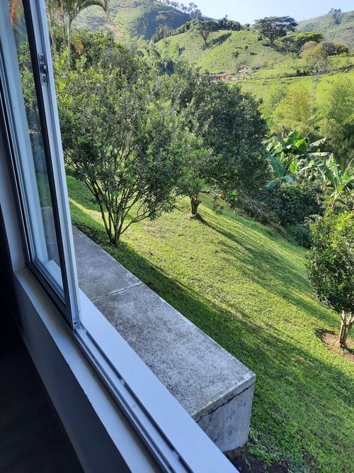 Finca en Venta en Combia, Pereira - Miniatura 23