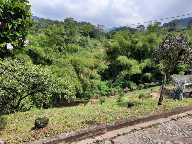Finca en Venta en Combia, Pereira - Miniatura 25
