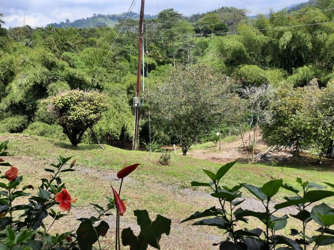 Finca en Venta en Combia, Pereira - Miniatura 27