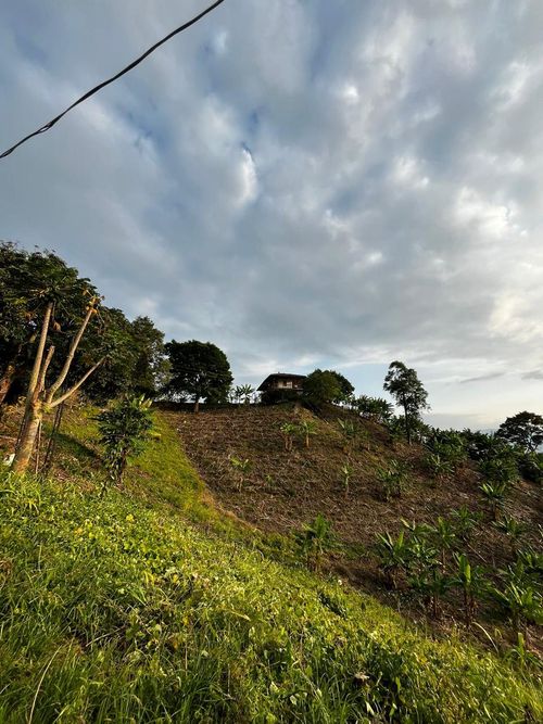 Finca en Venta en La virginia - Miniatura 6