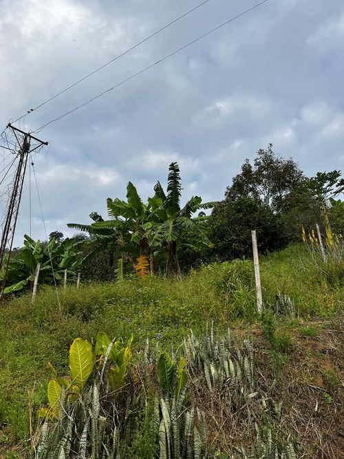 Finca en Venta en La virginia - Miniatura 8