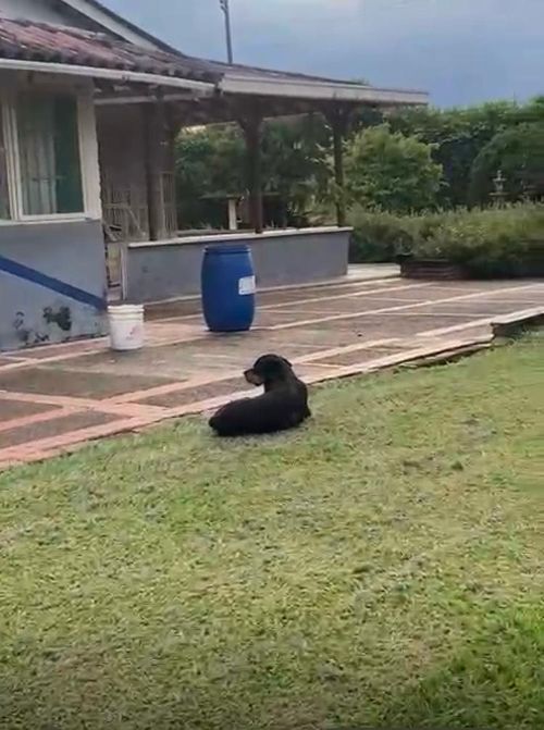 Finca en Venta en Cerritos, Pereira - Miniatura 6
