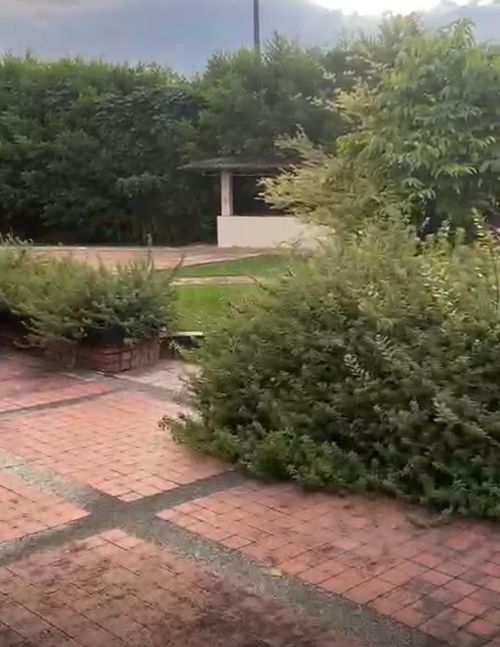 Finca en Venta en Cerritos, Pereira - Miniatura 17