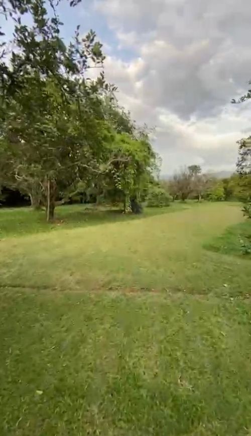 Finca en Venta en Cerritos, Pereira - Miniatura 18