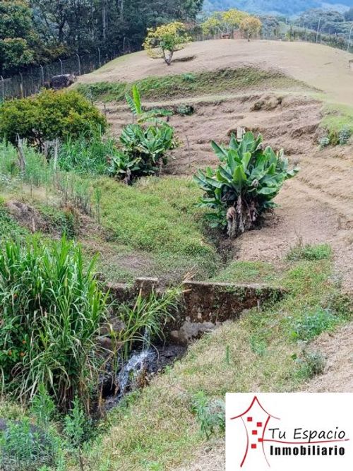 Finca en venta en Centro administrativo, Medellín - Miniatura 7