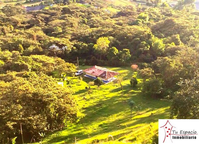 Finca en venta en El carmen de viboral - Imagen 1