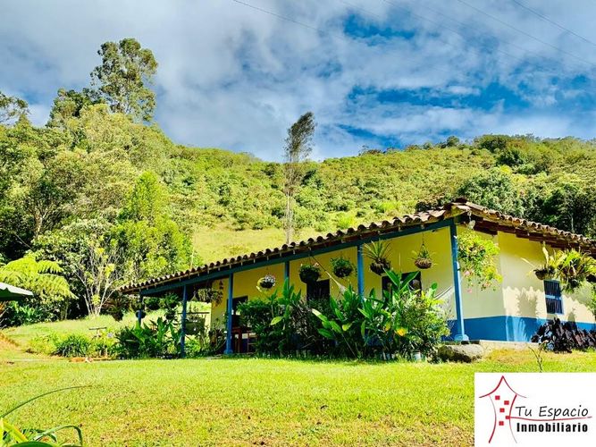 Finca en venta en El carmen de viboral - Miniatura 2