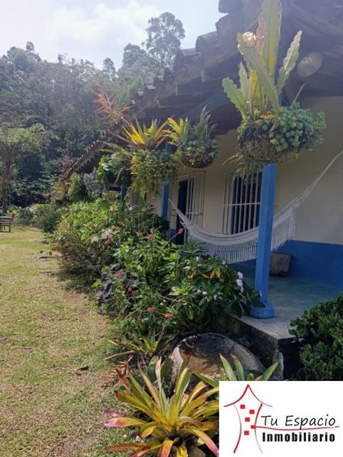 Finca en venta en El carmen de viboral - Miniatura 5