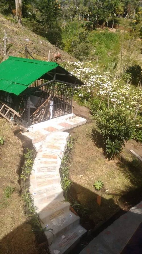 Finca en Arriendo en El tambo, La ceja - Miniatura 3