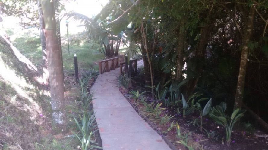 Finca en Arriendo en El tambo, La ceja - Miniatura 8