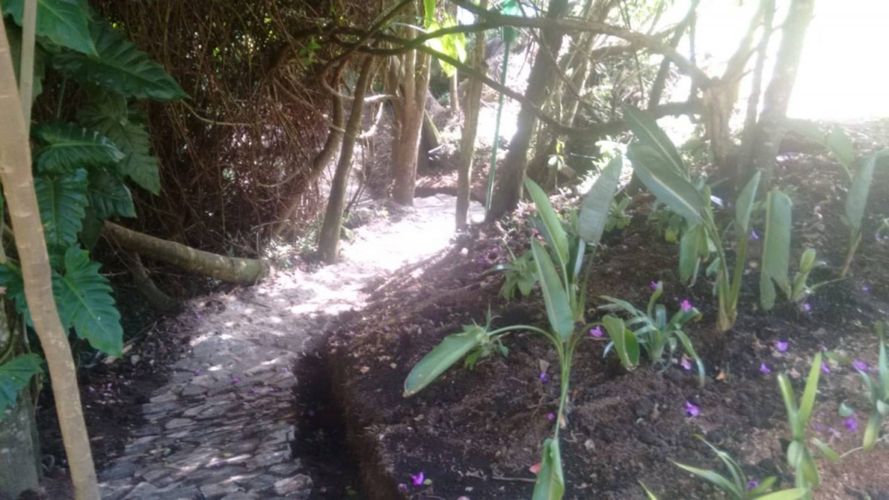 Finca en Arriendo en El tambo, La ceja - Miniatura 12
