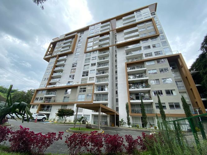 Apartaestudio en Arriendo en Centenario, Armenia - Miniatura 4