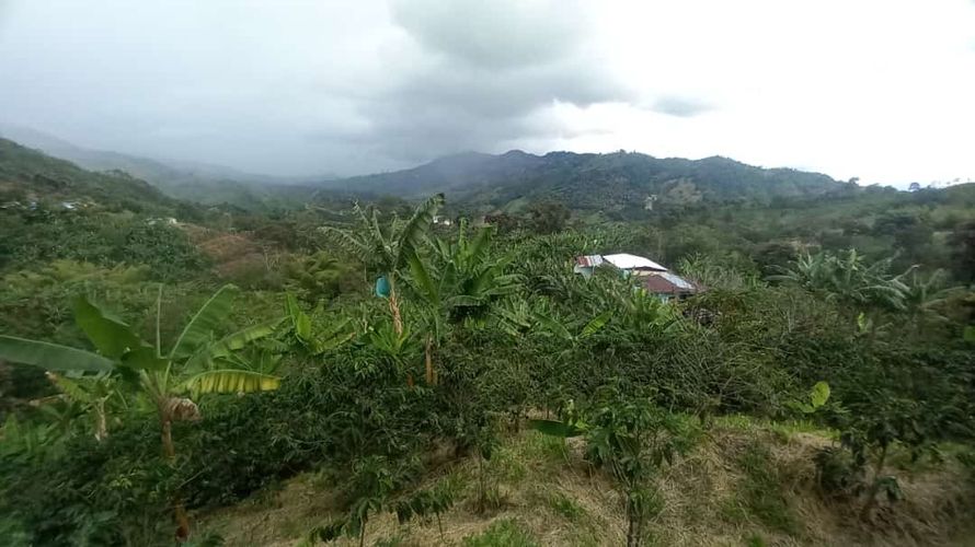Finca en Venta en Belén de Umbría - Miniatura 2