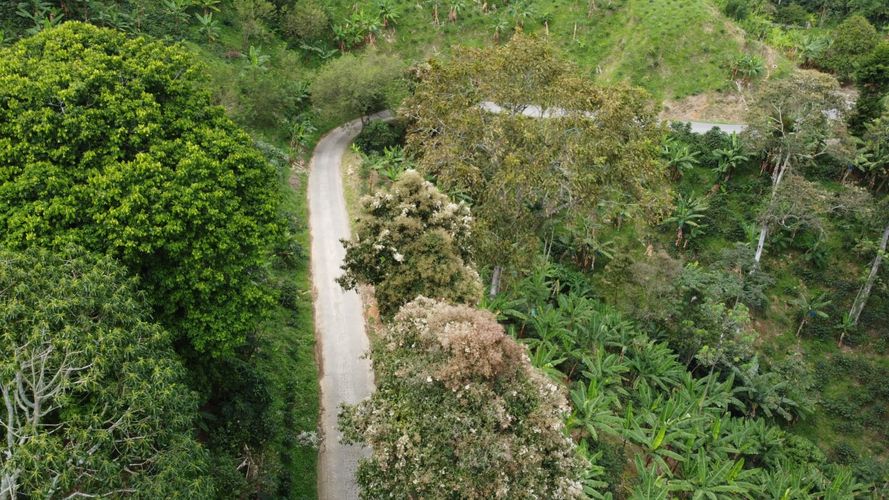 Finca en Venta en Belén de Umbría - Miniatura 12