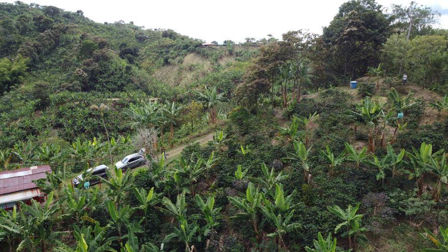 Finca en Venta en Belén de Umbría - Miniatura 13
